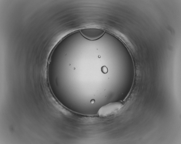 X0000112181236200908071319