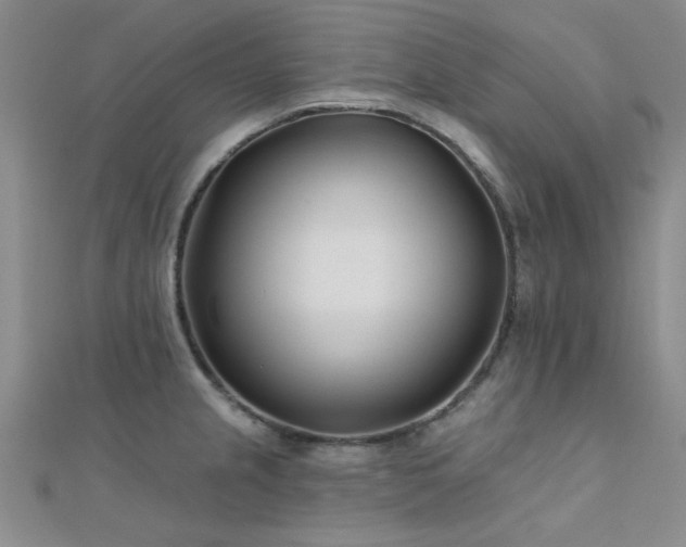 X0000112181237200908071319