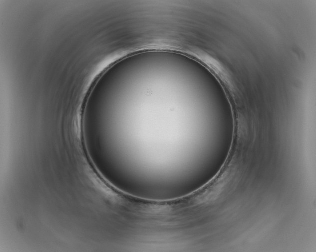 X0000112181238200908071319