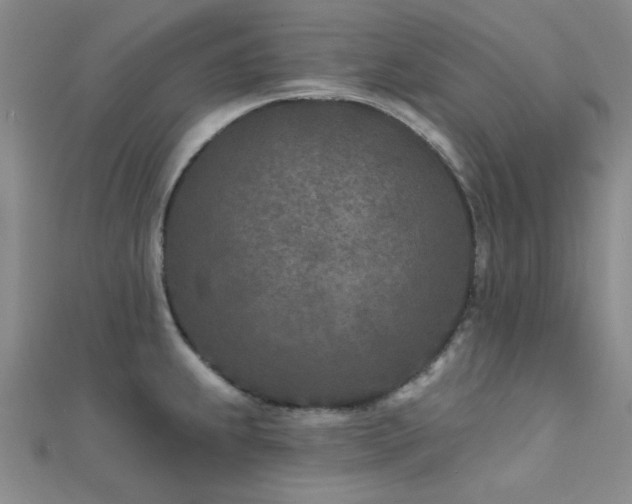 X0000112181239200908071319