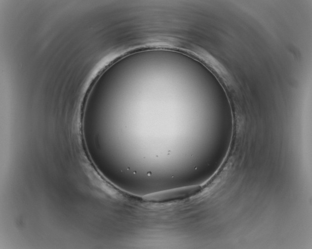 X0000112181240200908071319