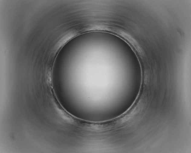 X0000112181241200908071319