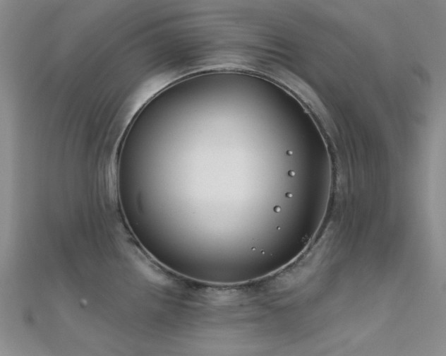 X0000112181242200908071319