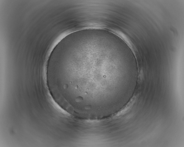 X0000112181243200908071319