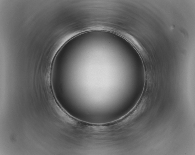 X0000112181244200908071319