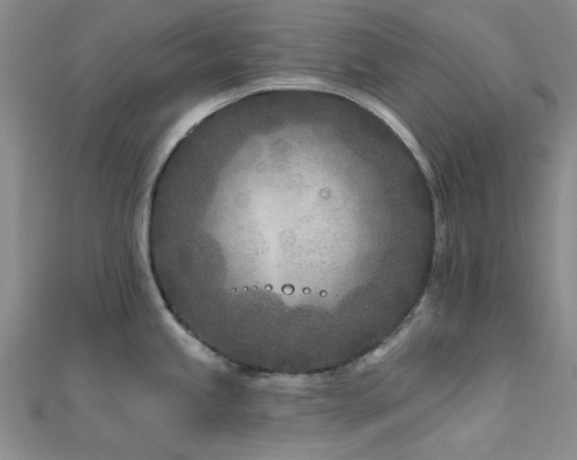 X0000112181245200908071319