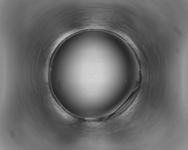 X0000112181246200908071319