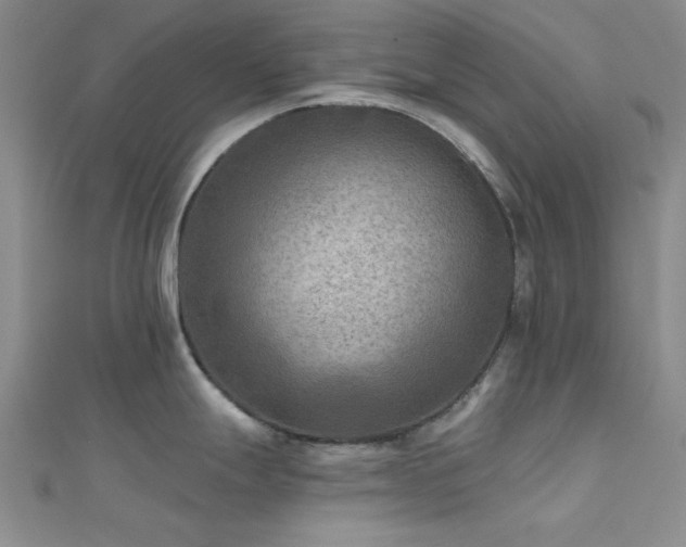 X0000112181247200908071319