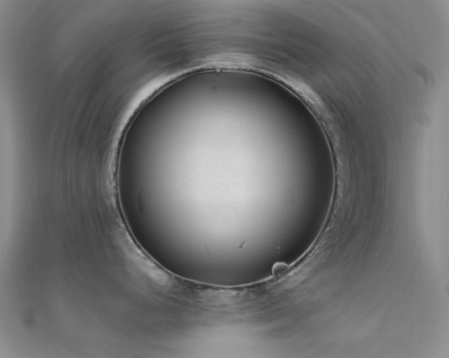 X0000112181248200908071319