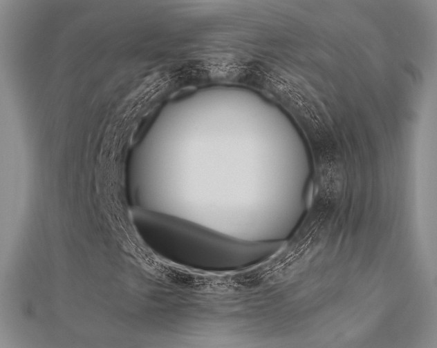 X0000112181249200908071319