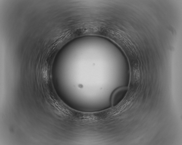 X0000112181250200908071319