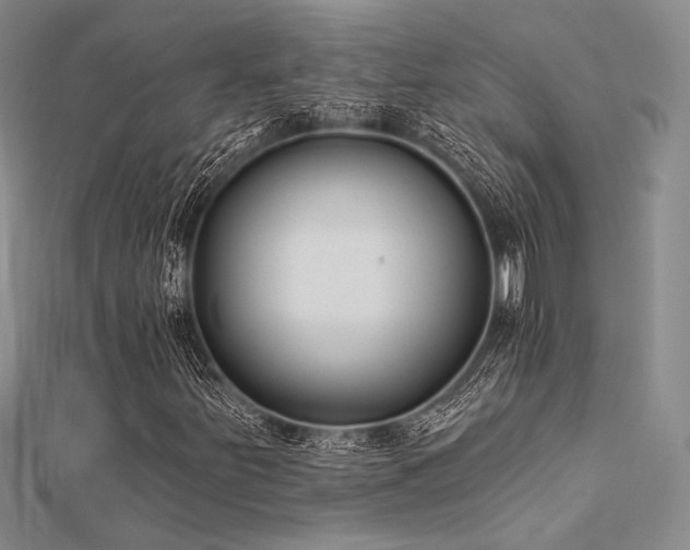 X0000112181251200908071319