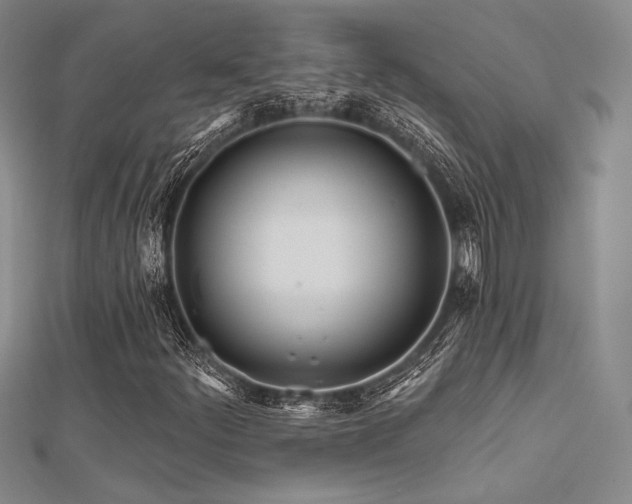 X0000112181252200908071319