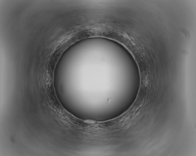 X0000112181253200908071319