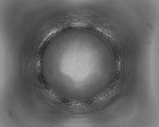 X0000112181254200908071319