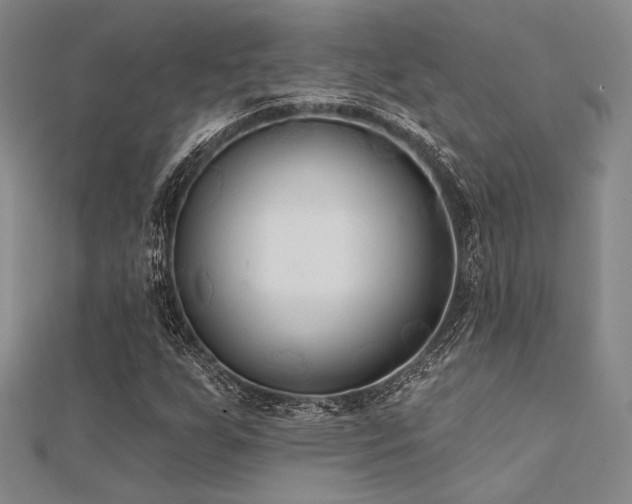 X0000112181255200908071319