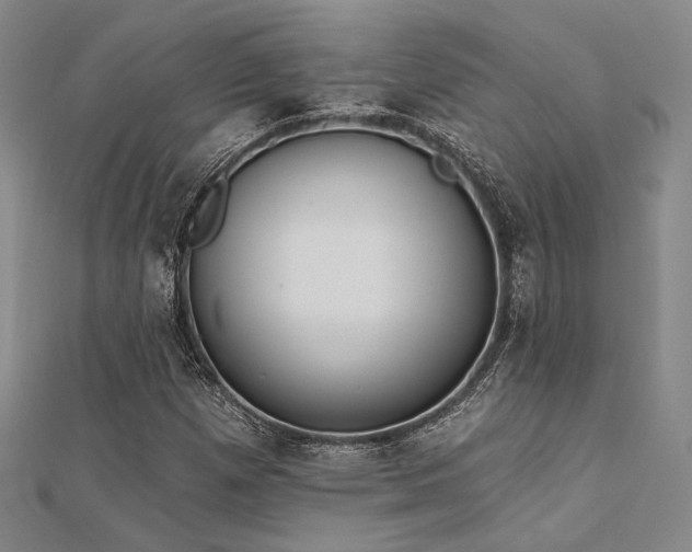 X0000112181257200908071319