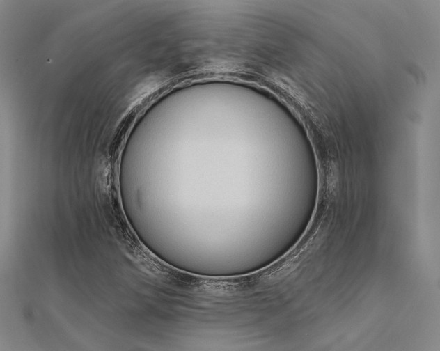 X0000112181258200908071319