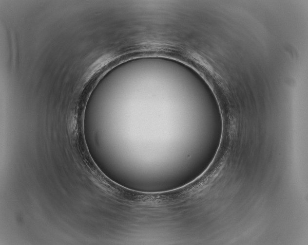 X0000112181259200908071319