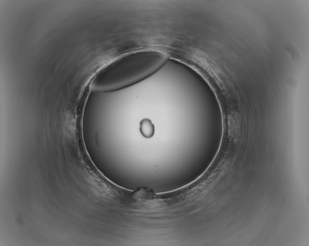 X0000112181260200908071319