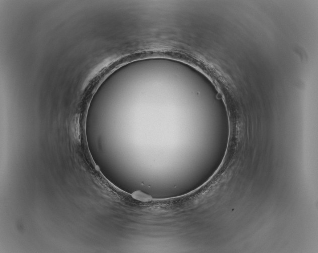 X0000112181262200908071319