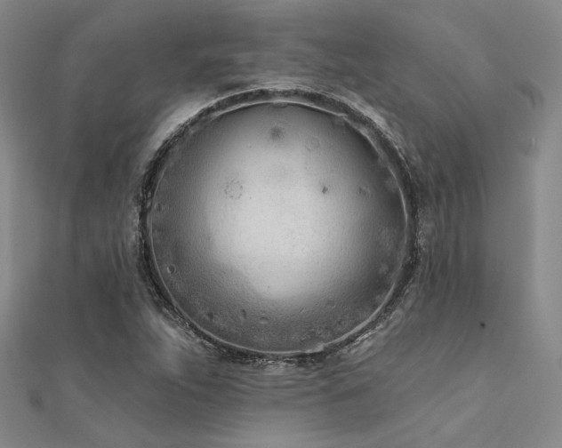 X0000112181263200908071319