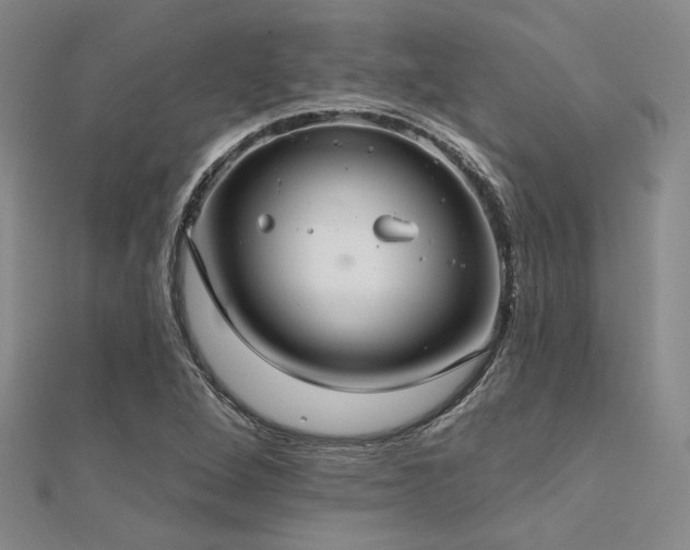 X0000112181264200908071319