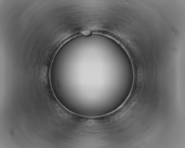 X0000112181265200908071319