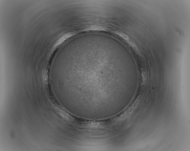 X0000112181266200908071319