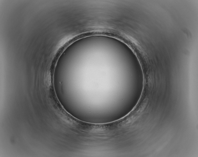 X0000112181267200908071319