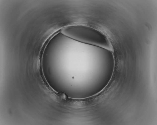 X0000112181268200908071319