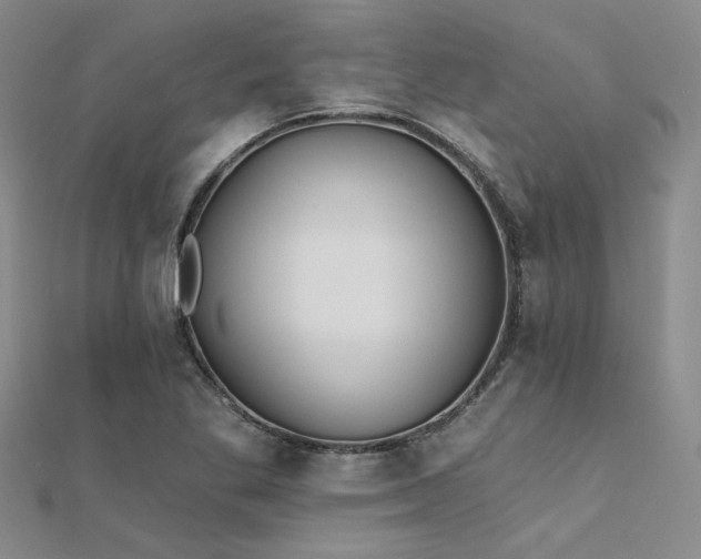 X0000112181269200908071319