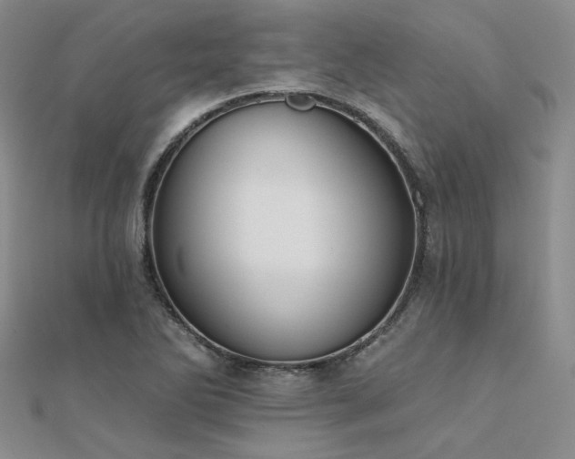 X0000112181270200908071318