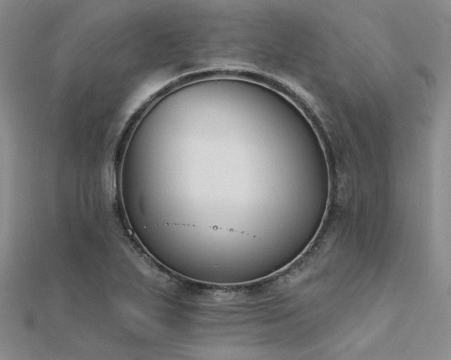 X0000112181271200908071318