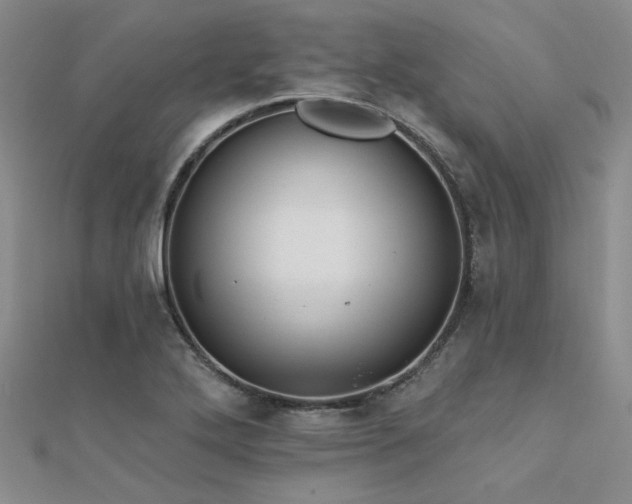 X0000112181272200908071318