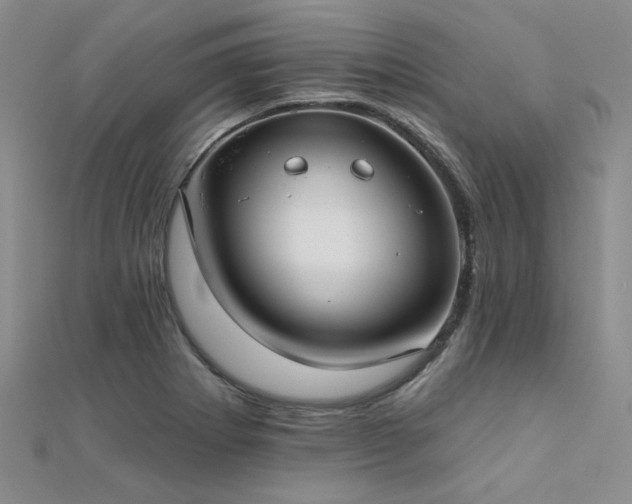 X0000112181273200908071318