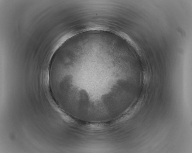 X0000112181274200908071318