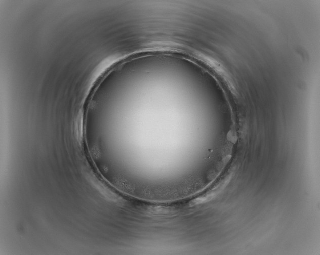 X0000112181275200908071318