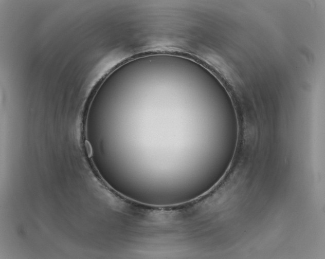 X0000112181277200908071318