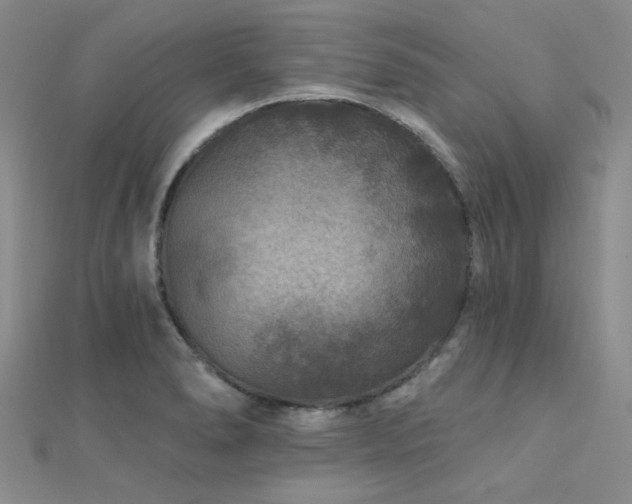 X0000112181278200908071318