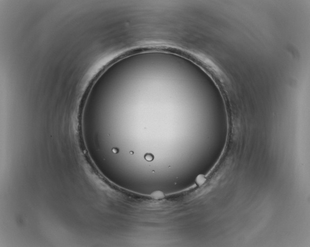 X0000112181279200908071318