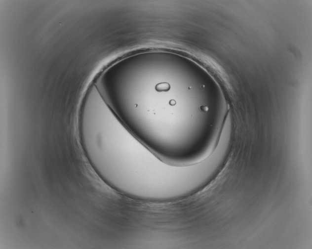 X0000112181280200908071318