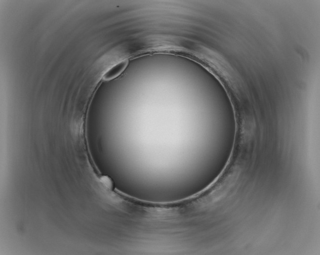 X0000112181281200908071318