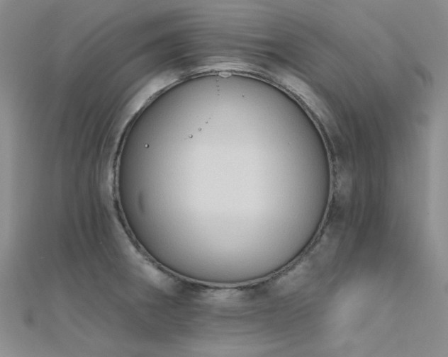 X0000112181282200908071318