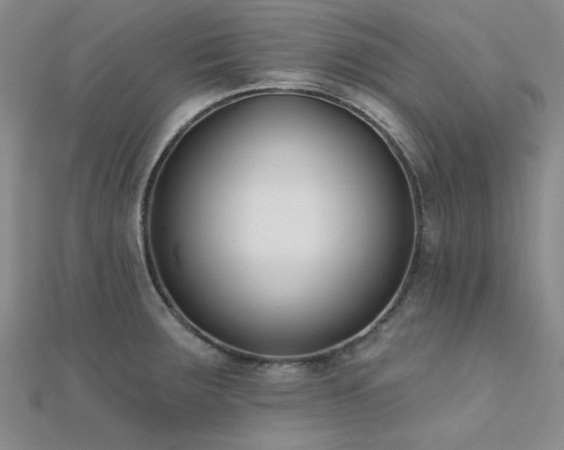 X0000112181283200908071318