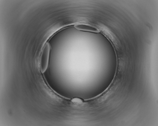 X0000112181284200908071318