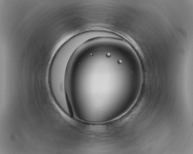 X0000112181285200908071318