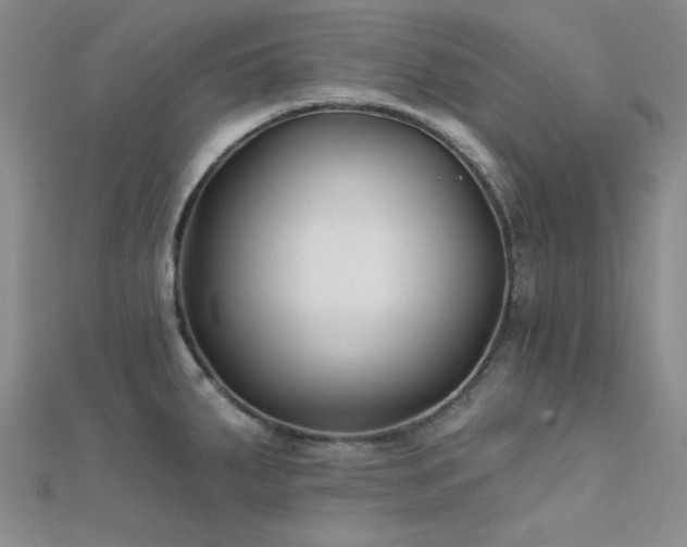 X0000112181287200908071318