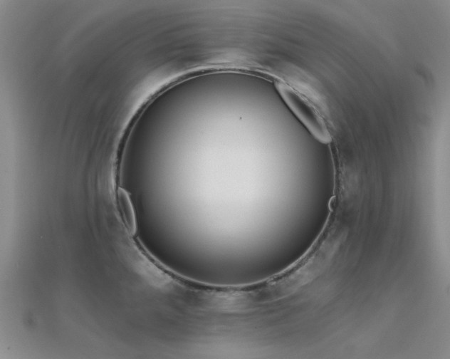 X0000112181288200908071318