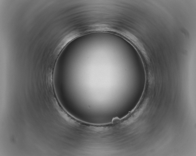 X0000112181289200908071318